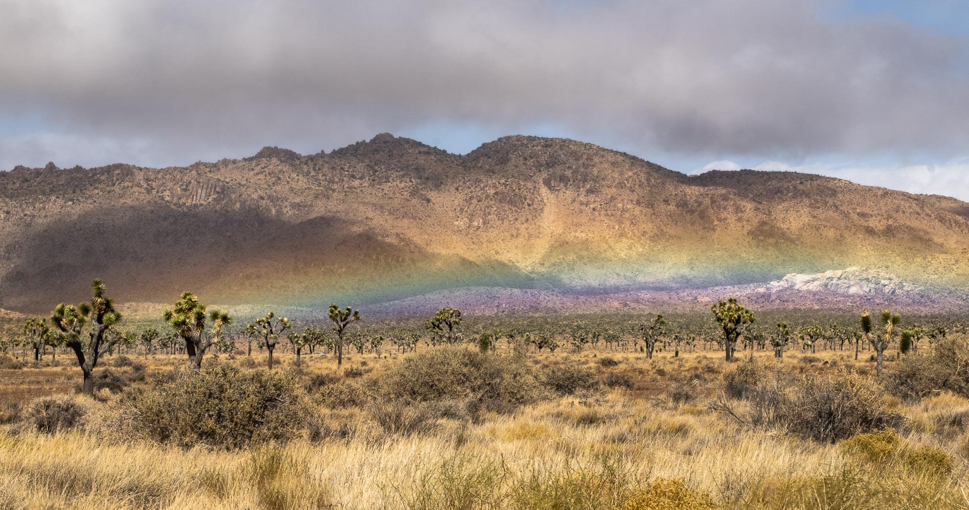 Fire Rainbow : Series 9: Desert: Land and Sky : Richard Dweck
