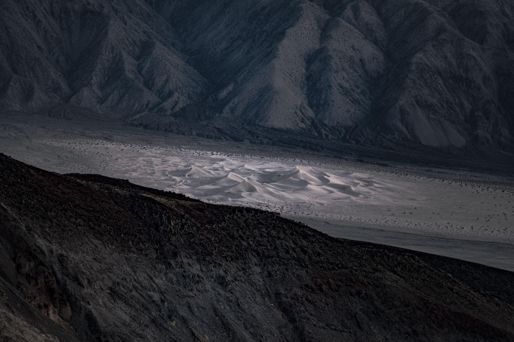Death Valley Newly Awakened : Series 4: Landscapes : Richard Dweck