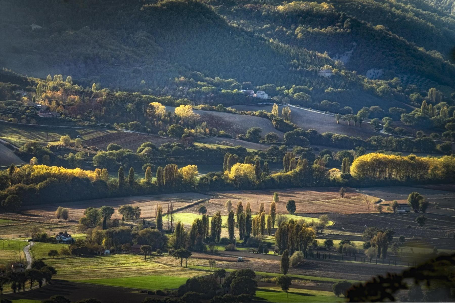 Autumn in Tuscany #2 : Series 4: Landscapes : Richard Dweck