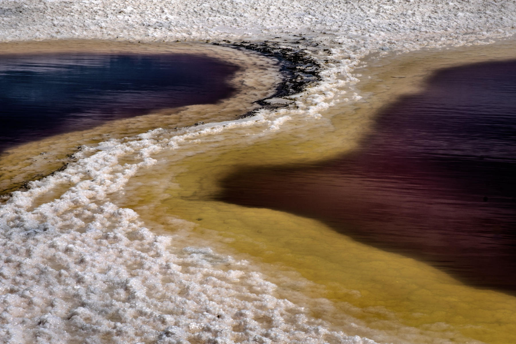 Convergence : Series 6: Tidal Salt Marshes : Richard Dweck