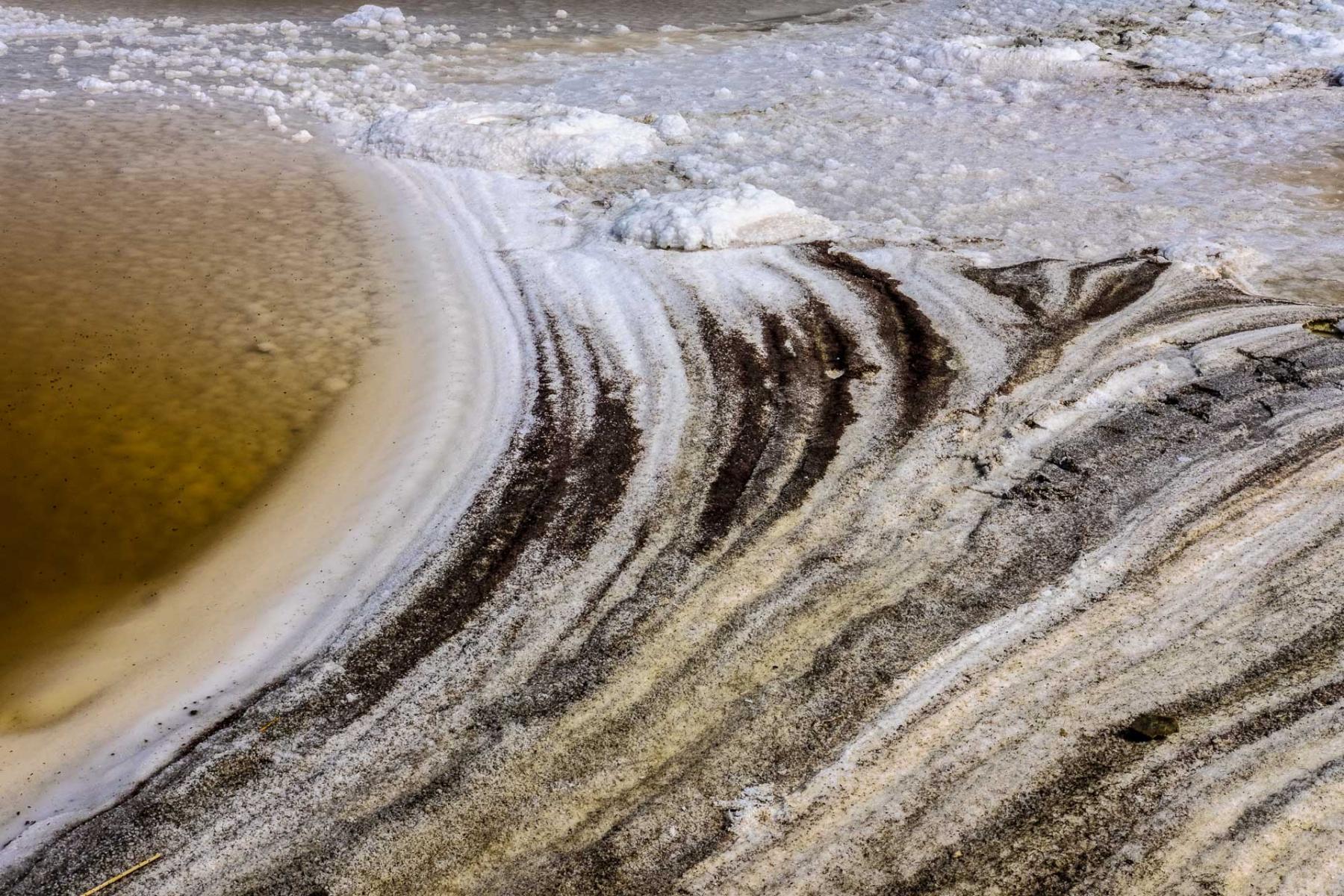 Flow #1 : Series 6: Tidal Salt Marshes : Richard Dweck